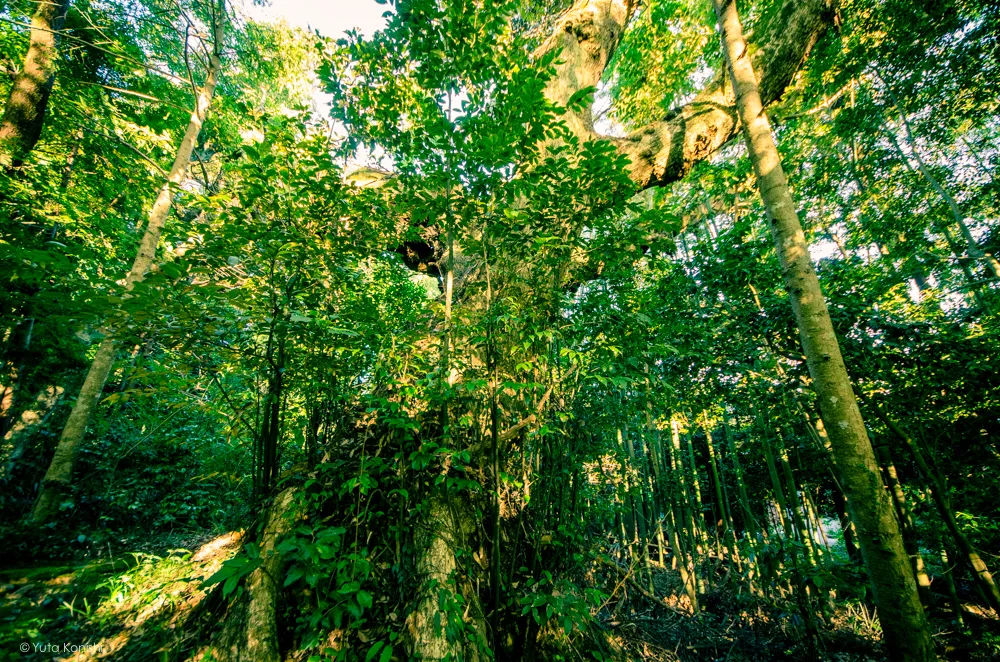石川県 能登の須須神社(すす) 東北鬼門日本海の守護神 (2012年9月)