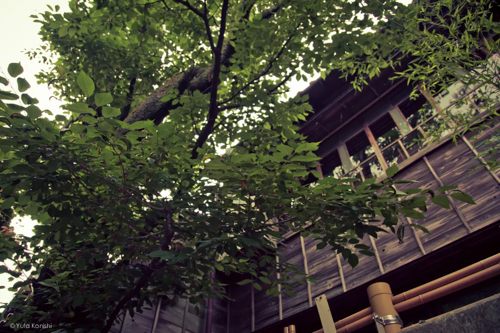 ひがしやま茶屋 東山