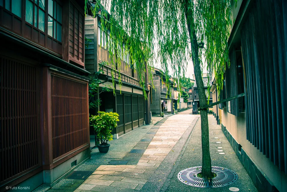 ひがし茶屋(婚礼撮影)