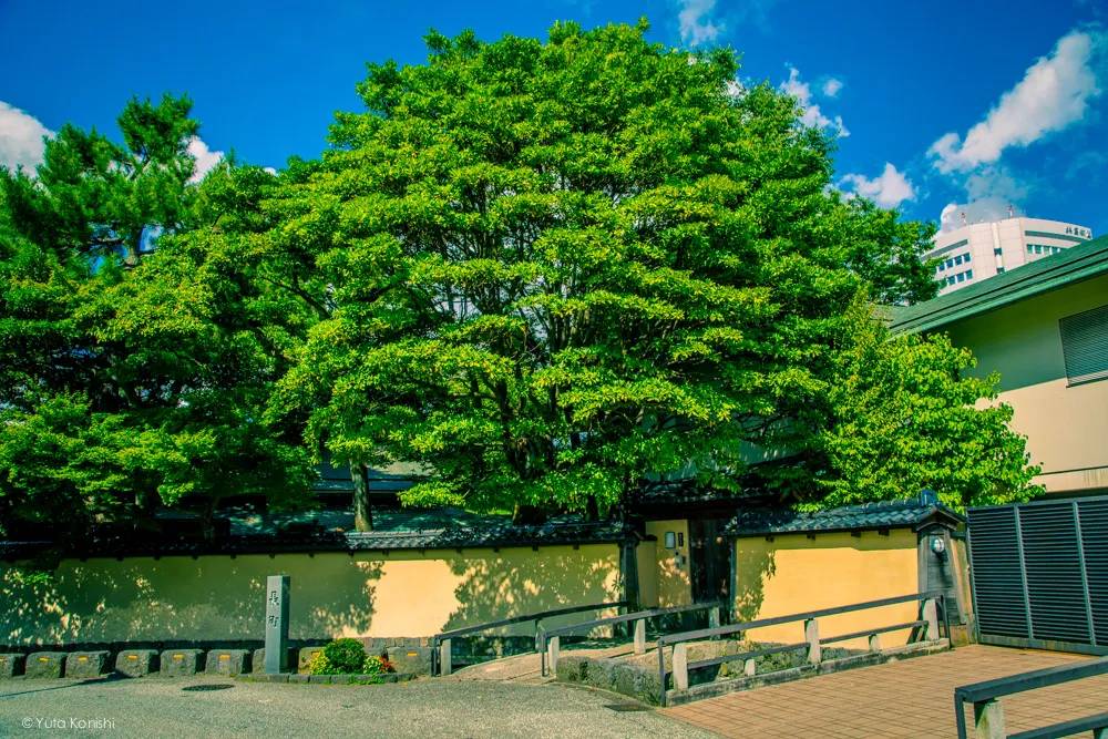 金沢観光の決定版「まちのり」で金沢を一日で制覇する完全マニュアル!金沢駅まちのり 武家屋敷