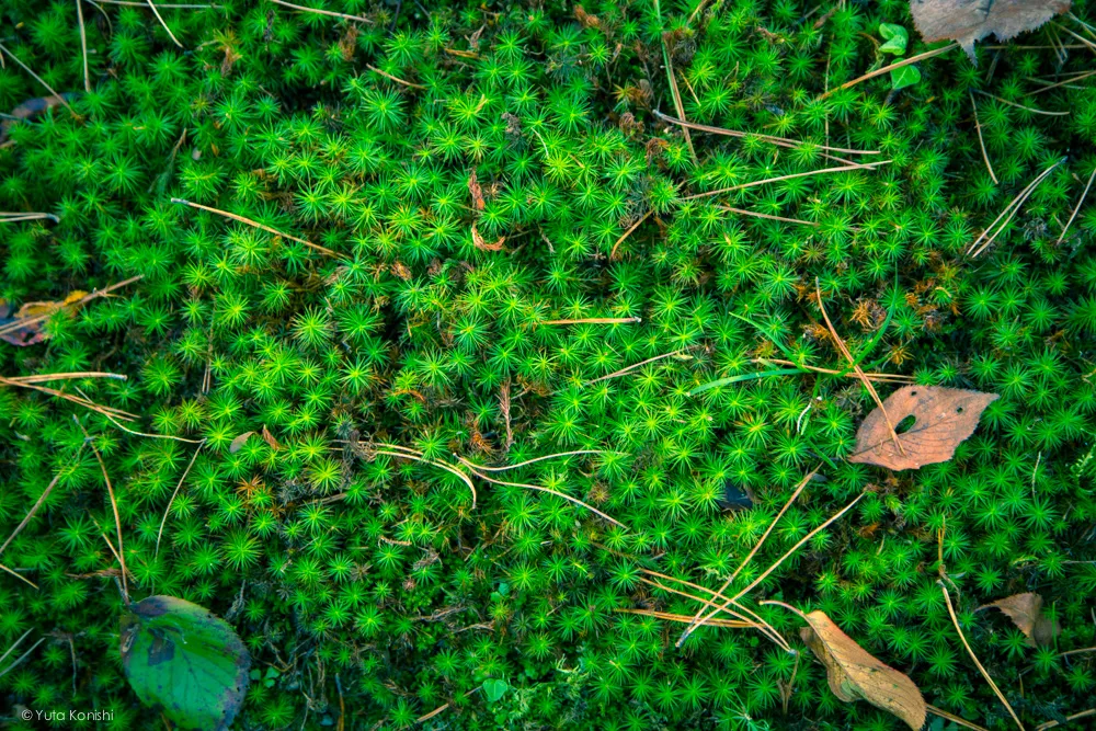 Ingressでする新しい「金沢観光」