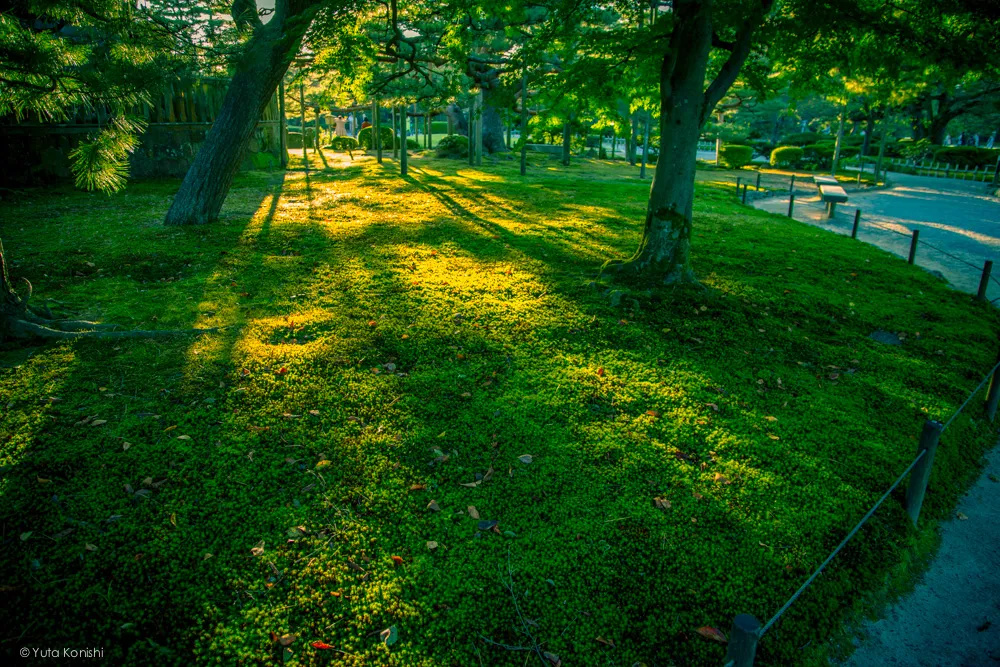 Ingressでする新しい「金沢観光」スギゴケ