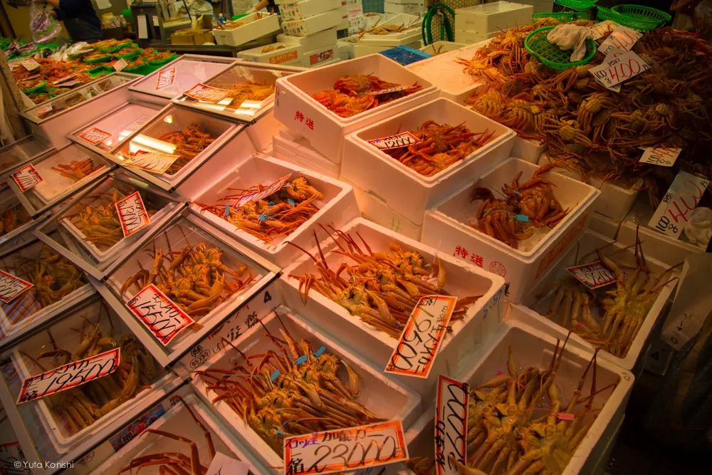 カニ！金沢グルメの王様「加能ガニ」11月上旬はカニ解禁で近江町市場の活気が最高潮！行くしか無いだろ！