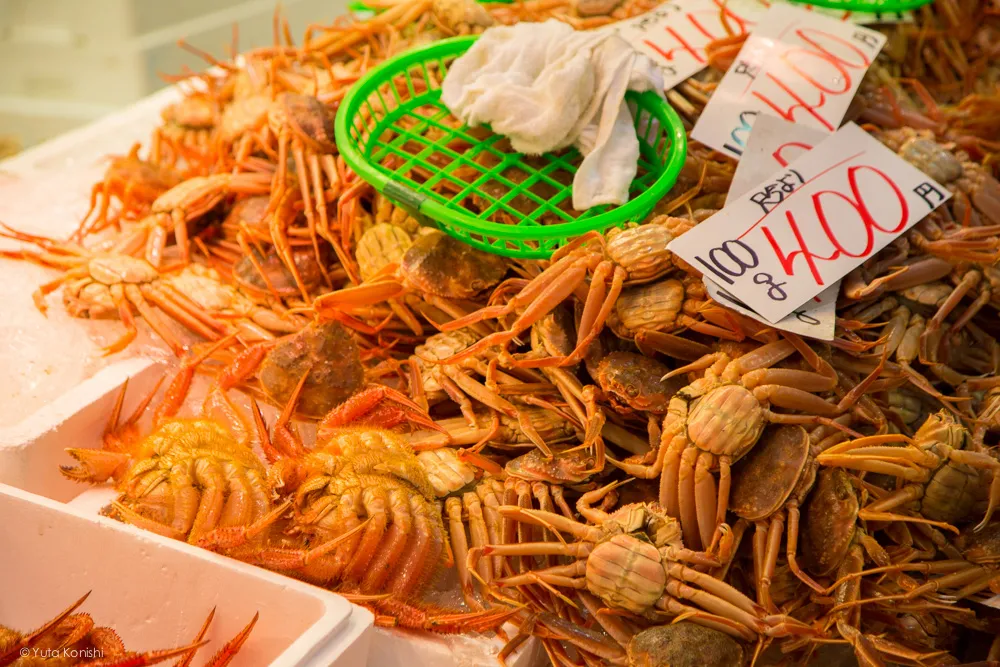 カニ!金沢グルメの王様「加能ガニ」11月上旬はカニ解禁で近江町市場の活気が最高潮!行くしか無いだろ!