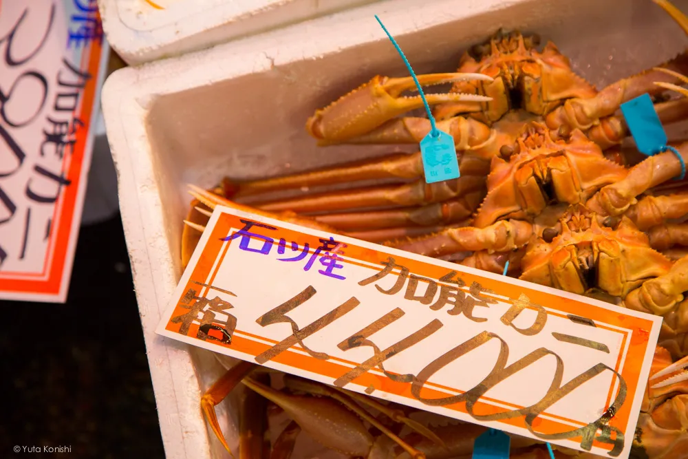 カニ!金沢グルメの王様「加能ガニ」11月上旬はカニ解禁で近江町市場の活気が最高潮!行くしか無いだろ!