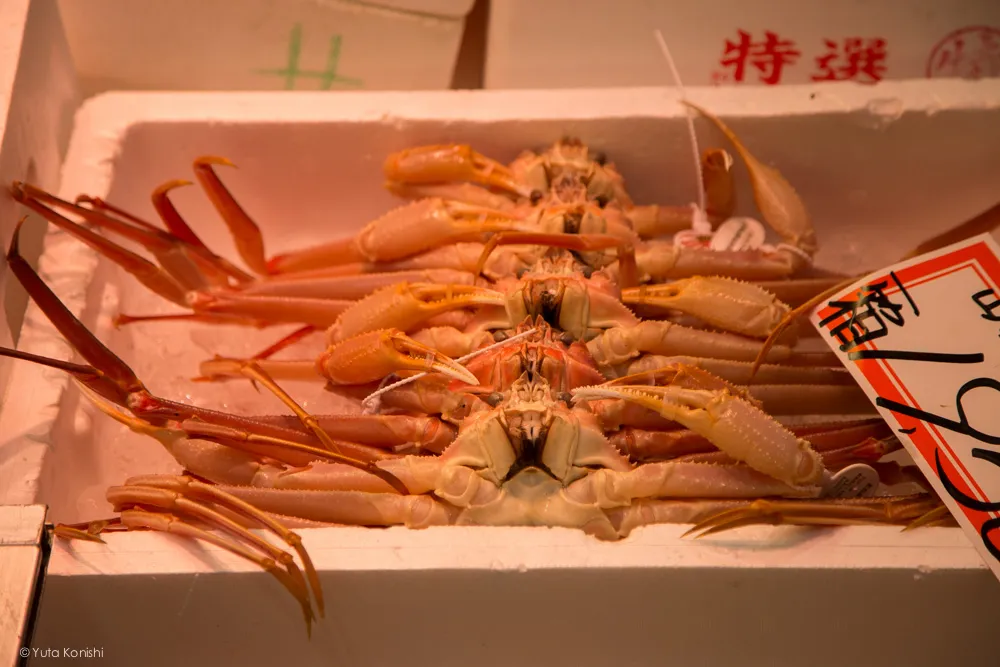 カニ!金沢グルメの王様「加能ガニ」11月上旬はカニ解禁で近江町市場の活気が最高潮!行くしか無いだろ!