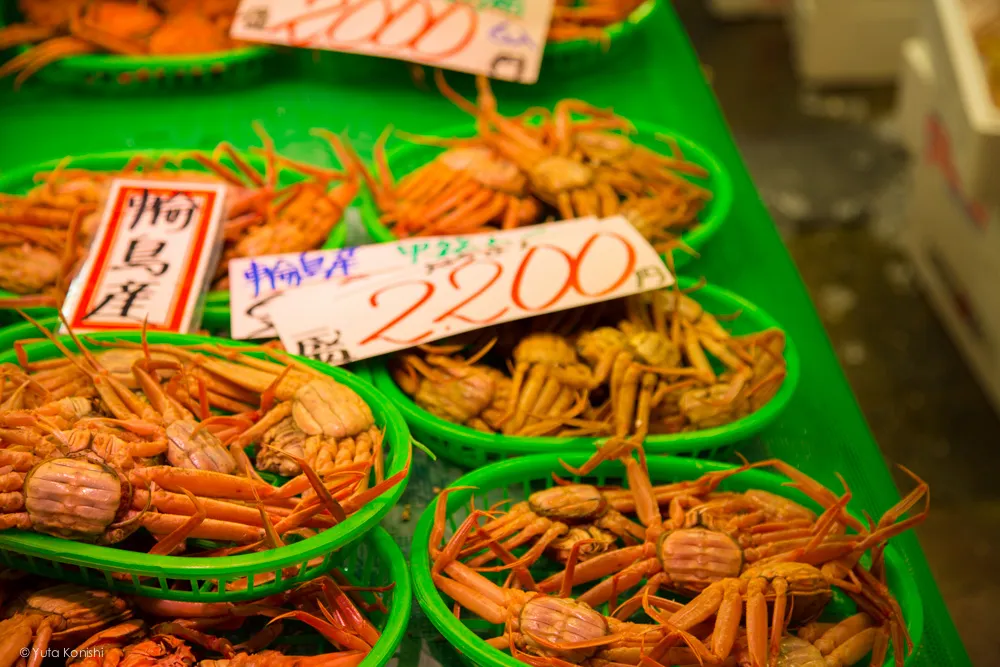 カニ!金沢グルメの王様「加能ガニ」11月上旬はカニ解禁で近江町市場の活気が最高潮!行くしか無いだろ!
