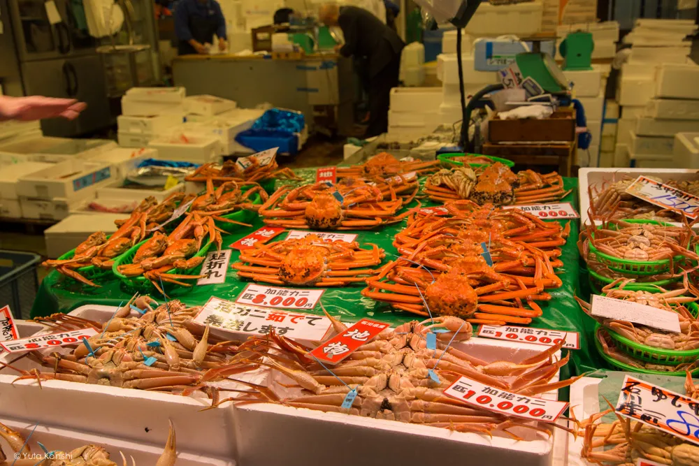 カニ!金沢グルメの王様「加能ガニ」11月上旬はカニ解禁で近江町市場の活気が最高潮!行くしか無いだろ!