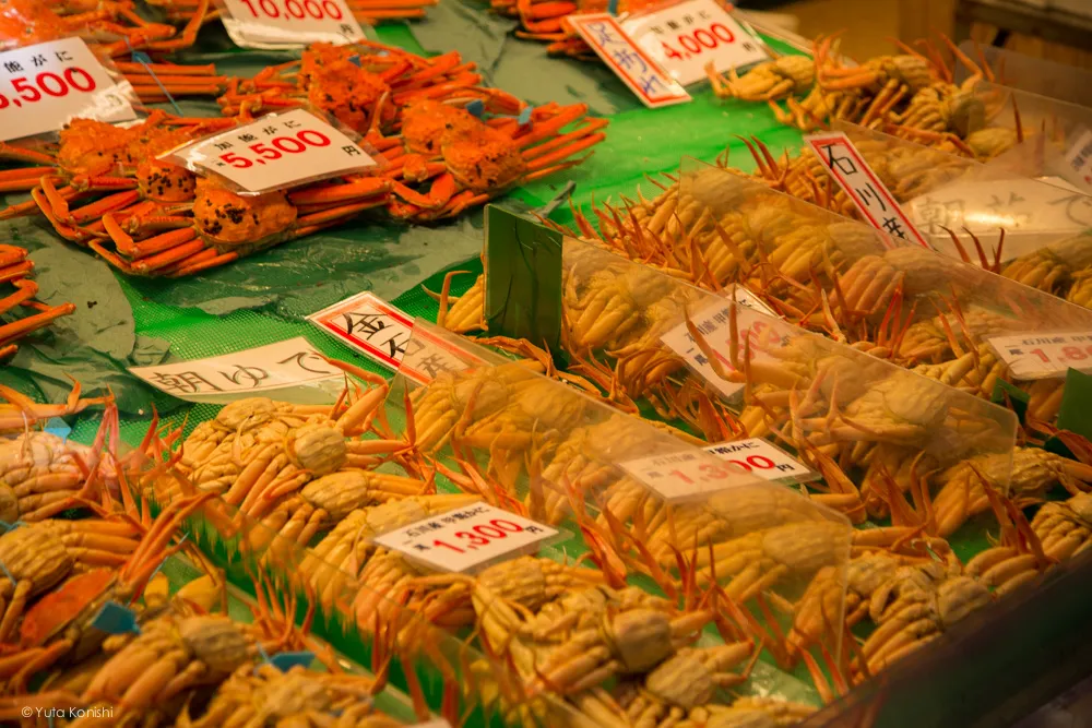 カニ!金沢グルメの王様「加能ガニ」11月上旬はカニ解禁で近江町市場の活気が最高潮!行くしか無いだろ!