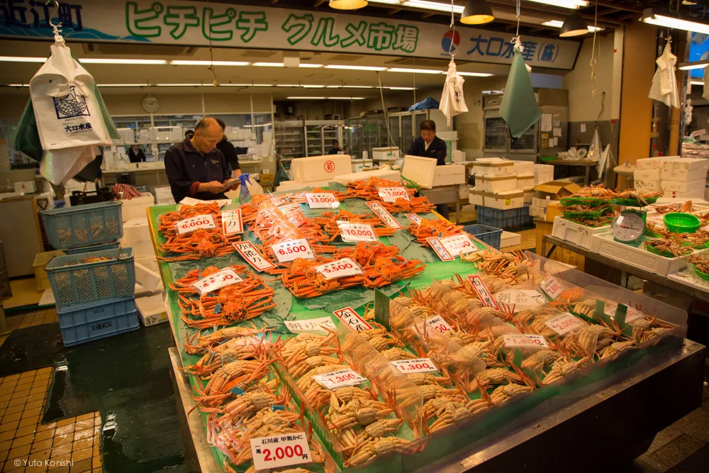 カニ!金沢グルメの王様「加能ガニ」11月上旬はカニ解禁で近江町市場の活気が最高潮!行くしか無いだろ!