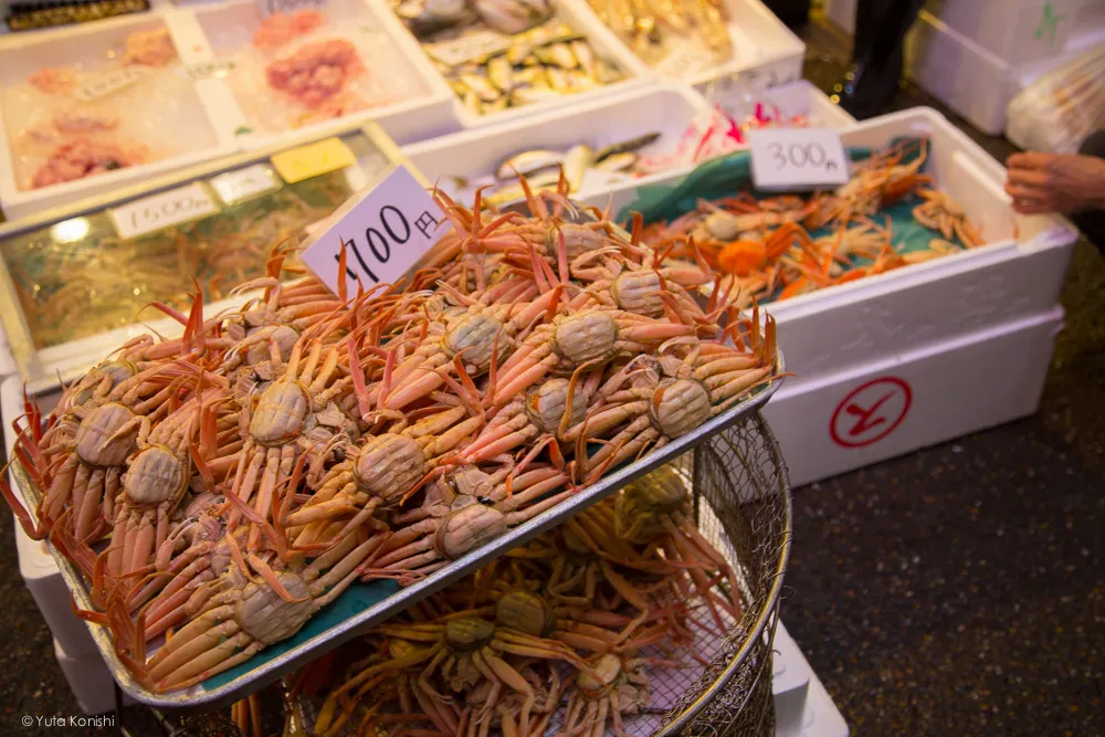 カニ!金沢グルメの王様「加能ガニ」11月上旬はカニ解禁で近江町市場の活気が最高潮!行くしか無いだろ!