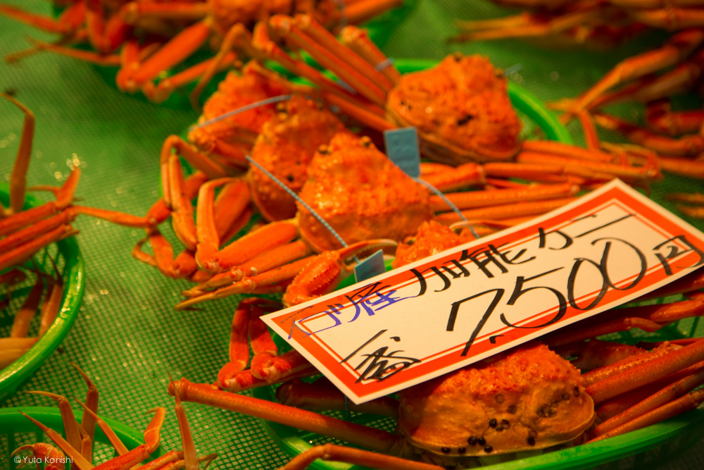 カニ！金沢グルメの王様「加能ガニ」11月上旬はカニ解禁で近江町市場の活気が最高潮！行くしか無いだろ！