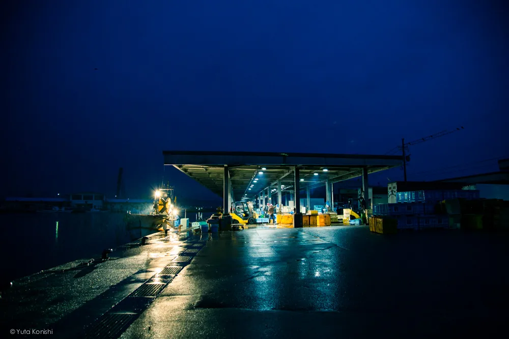 もはや「ぶりの聖地」氷見！聖地の寒ぶりはそろそろ「ぶりラッシュ」富山氷見で寒ぶりを食べずとして死ねない！