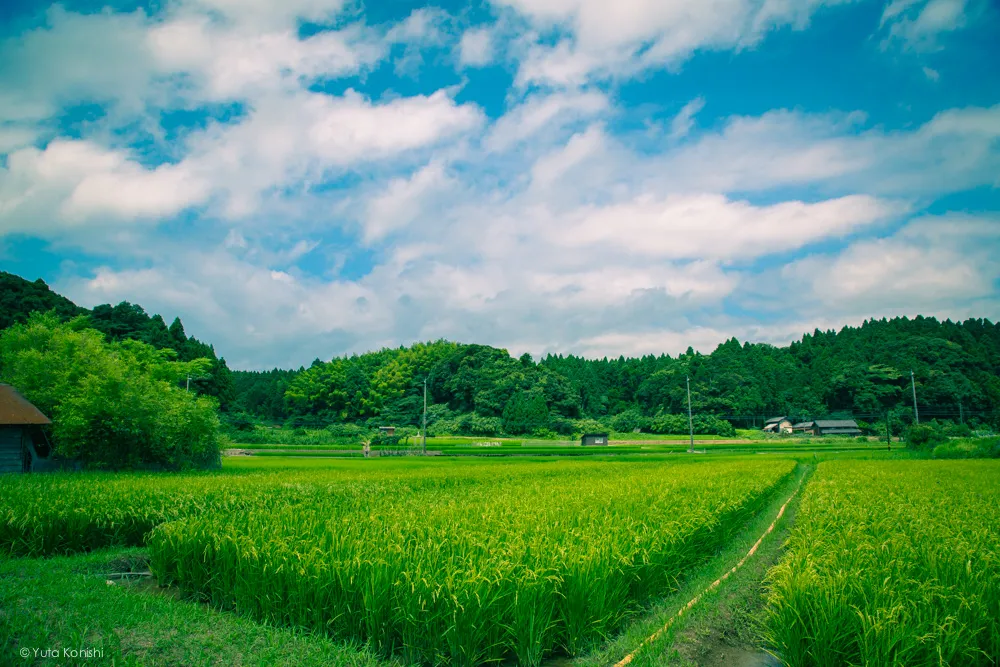勝尾崎キャンプ場 能登の魅力を惜しげも無く伝える能登の美しい写真たち!こんなの見たら能登へ行きたくなるだろ!これ見て行かないやついるの?
