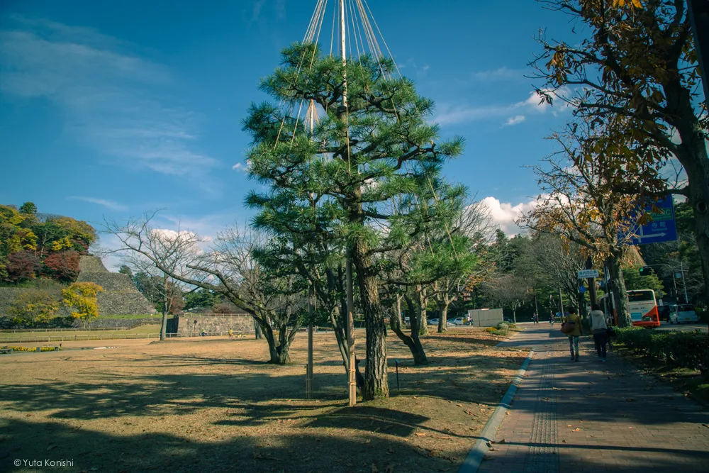 広坂21世紀美術館のバス停からの景色 金沢・能登を2泊3日で知り尽くす食べ尽くす石川県の完全観光マニュアル!本当の石川県民がおすすめする金沢・能登の旅!