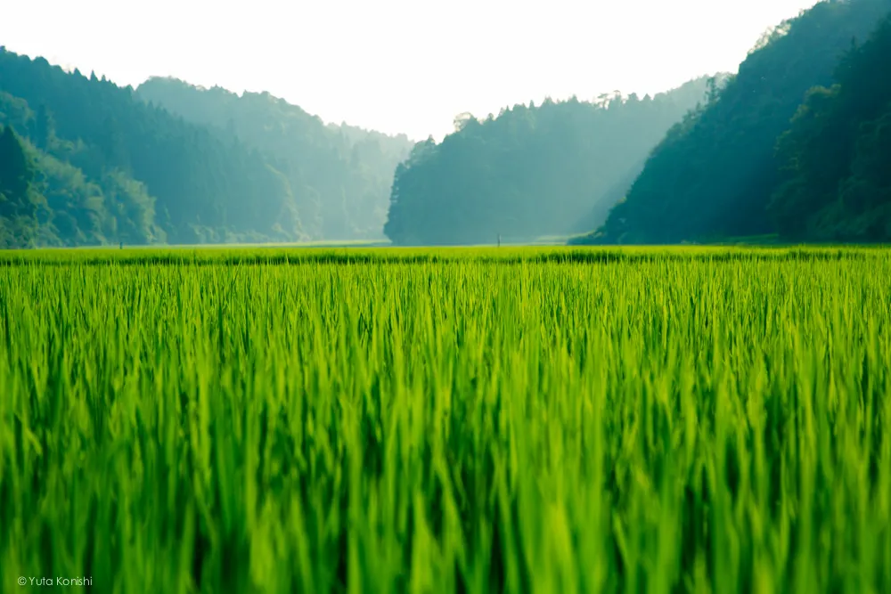 松島キャンプ場 能登の魅力を惜しげも無く伝える能登の美しい写真たち!こんなの見たら能登へ行きたくなるだろ!これ見て行かないやついるの?