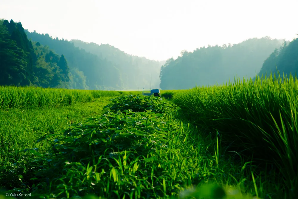 松島キャンプ場 能登の魅力を惜しげも無く伝える能登の美しい写真たち!こんなの見たら能登へ行きたくなるだろ!これ見て行かないやついるの?