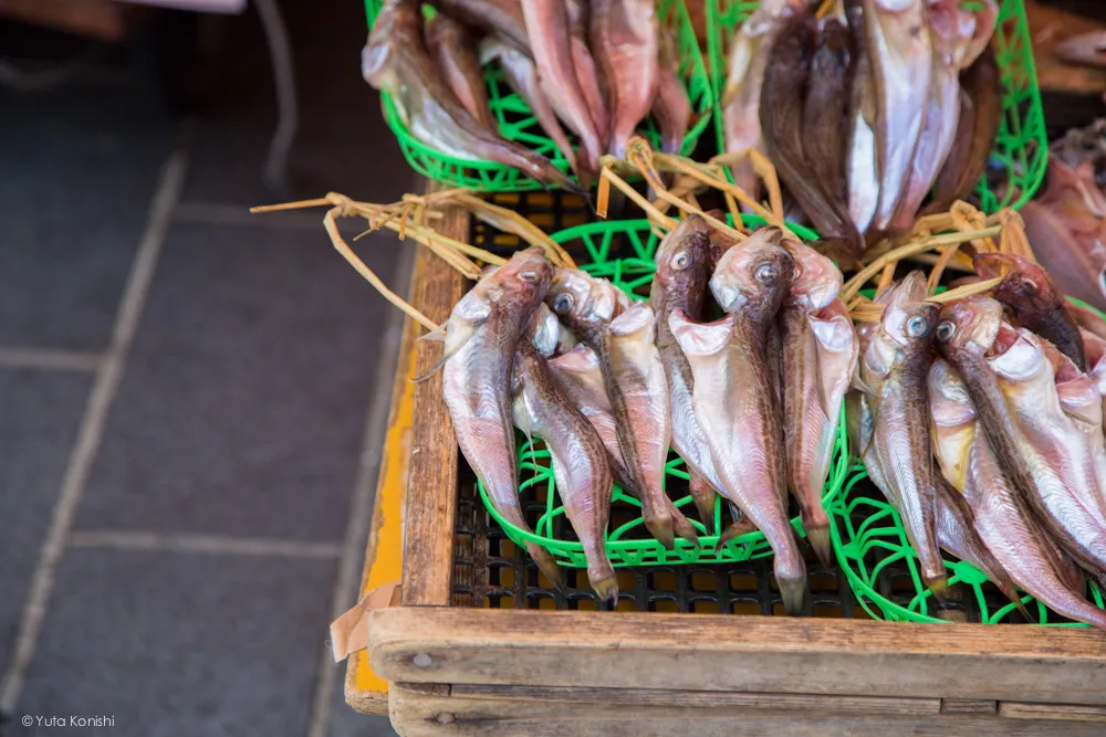 朝市 金沢・能登を2泊3日で知り尽くす食べ尽くす石川県の完全観光マニュアル!本当の石川県民がおすすめする金沢・能登の旅!