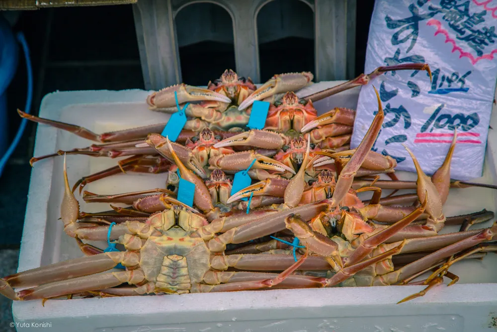 朝市 金沢・能登を2泊3日で知り尽くす食べ尽くす石川県の完全観光マニュアル!本当の石川県民がおすすめする金沢・能登の旅!