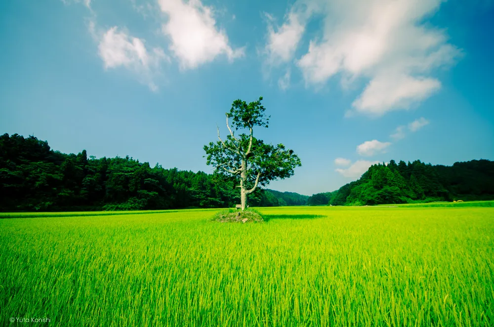 松島キャンプ場 能登の魅力を惜しげも無く伝える能登の美しい写真たち!こんなの見たら能登へ行きたくなるだろ!これ見て行かないやついるの?
