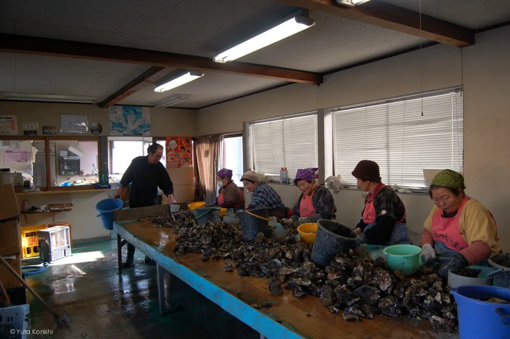 牡蠣処海 金沢・能登を2泊3日で知り尽くす食べ尽くす石川県の完全観光マニュアル!本当の石川県民がおすすめする金沢・能登の旅!