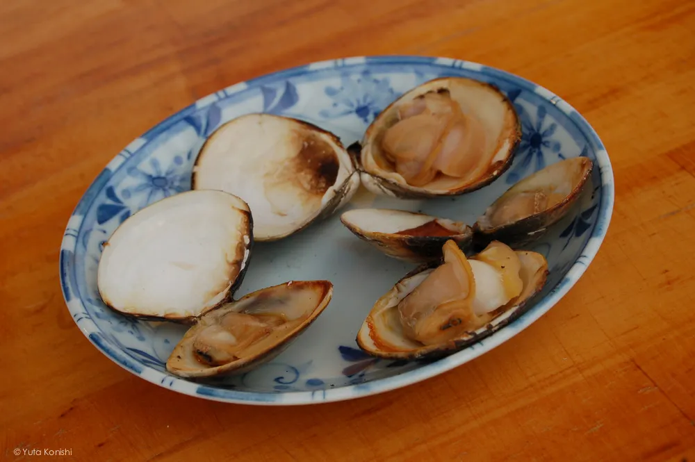 千里浜 金沢・能登を2泊3日で知り尽くす食べ尽くす石川県の完全観光マニュアル!本当の石川県民がおすすめする金沢・能登の旅!