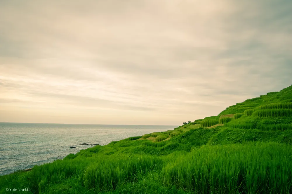 千枚田 金沢・能登を2泊3日で知り尽くす食べ尽くす石川県の完全観光マニュアル!本当の石川県民がおすすめする金沢・能登の旅!