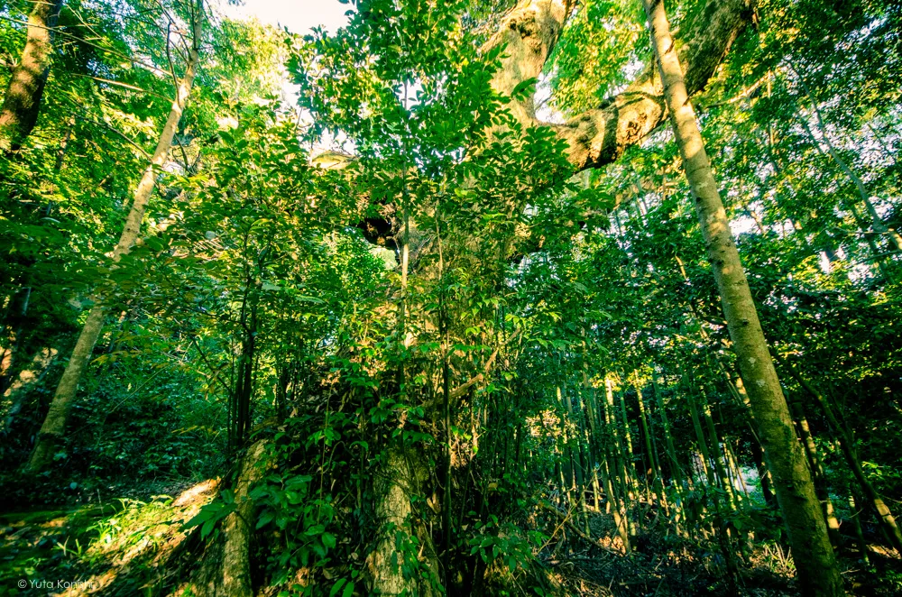 須須神社 能登の魅力を惜しげも無く伝える能登の美しい写真たち!こんなの見たら能登へ行きたくなるだろ!これ見て行かないやついるの?