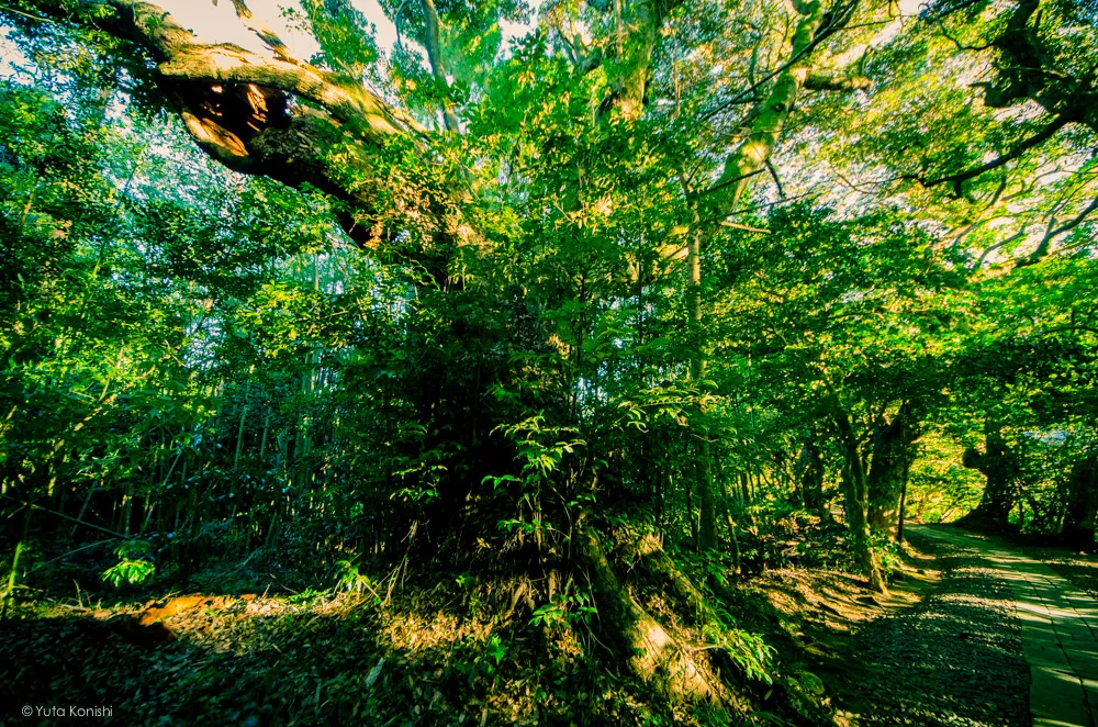 須須神社 能登の魅力を惜しげも無く伝える能登の美しい写真たち!こんなの見たら能登へ行きたくなるだろ!これ見て行かないやついるの?