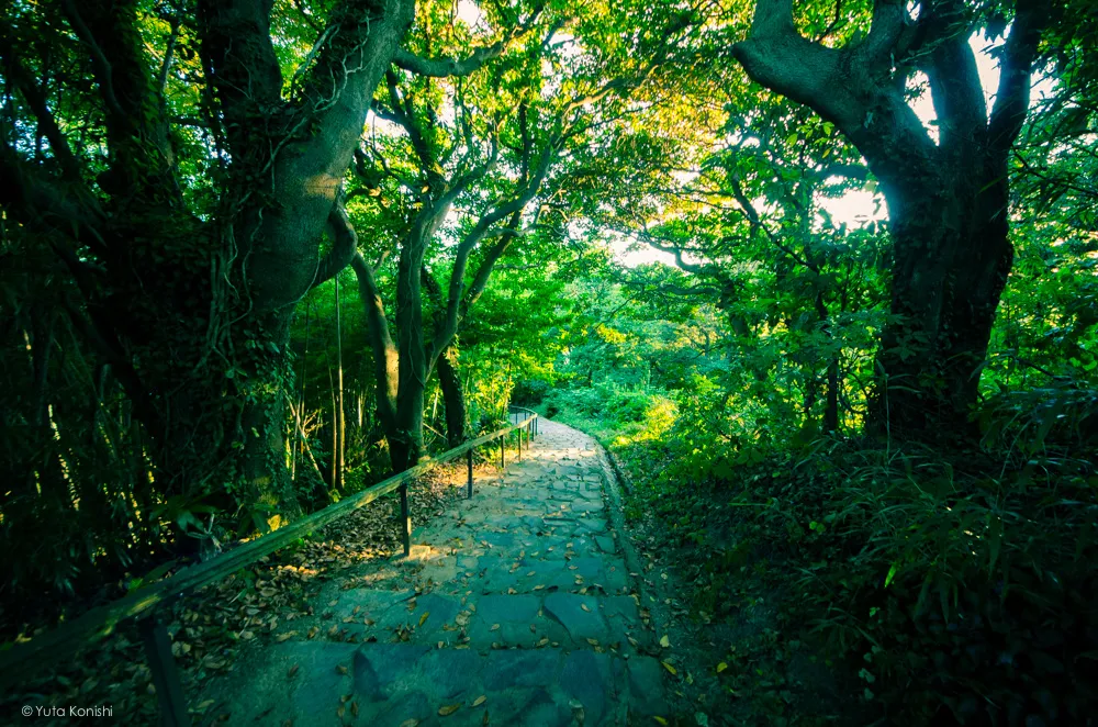 狼煙の灯台 能登の魅力を惜しげも無く伝える能登の美しい写真たち!こんなの見たら能登へ行きたくなるだろ!これ見て行かないやついるの?