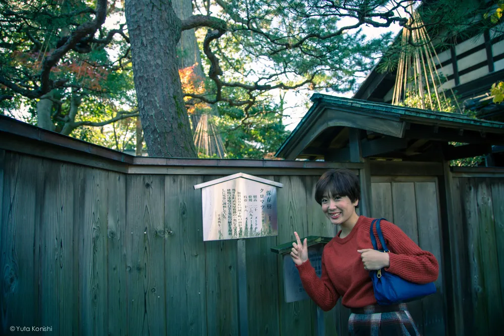 武家屋敷跡のクロマツゆりりん 金沢周遊バスで周る金沢観光マニュアル！金沢観光アイドル「ゆりりん」とバスで金沢を紹介します！