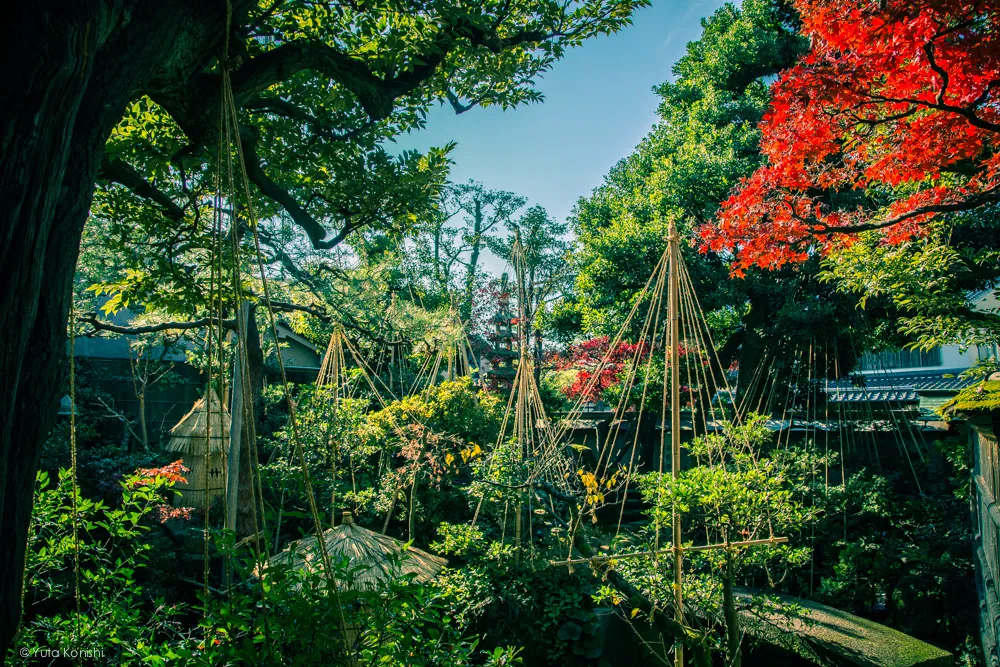 野村家 金沢周遊バスで周る金沢観光マニュアル！金沢観光アイドル「ゆりりん」とバスで金沢を紹介します！