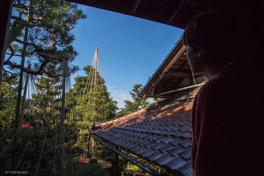 野村家ゆりりん 金沢周遊バスで周る金沢観光マニュアル！金沢観光アイドル「ゆりりん」とバスで金沢を紹介します！