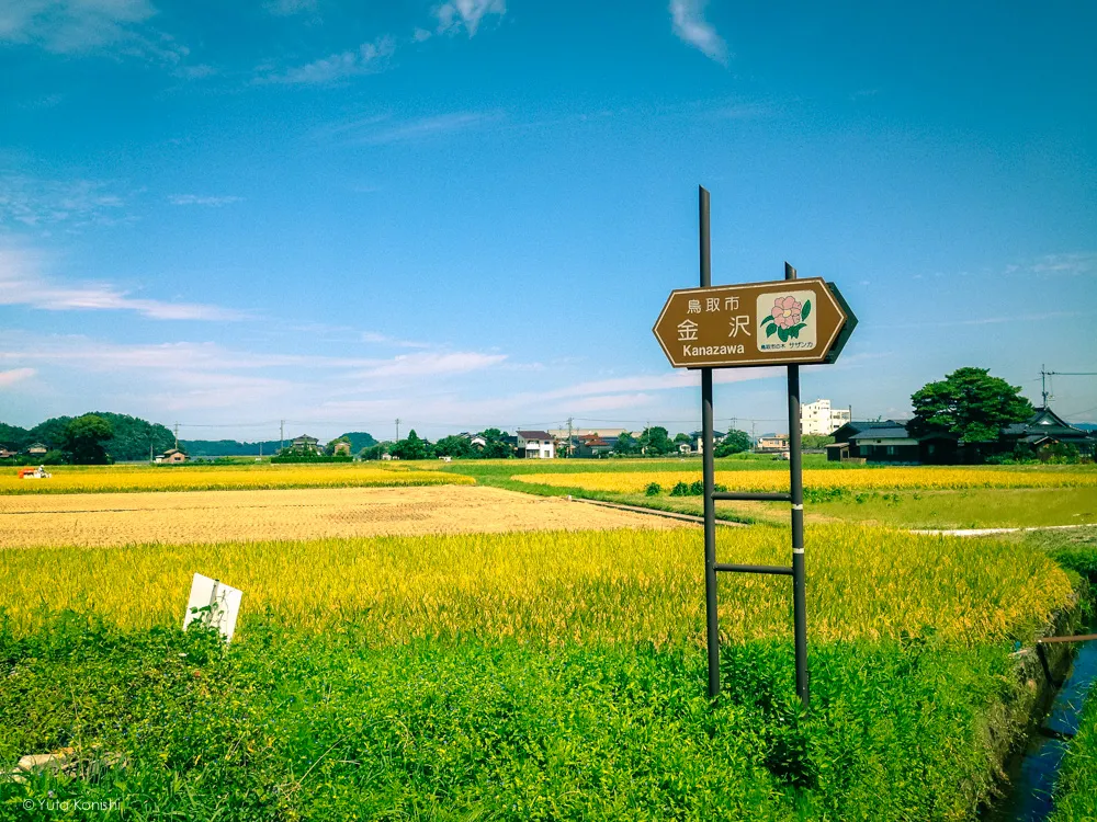 鳥取県 金沢 石川県金沢の名前の由来を完全解説！もう「芋掘り藤五郎」が金沢の由来だなんて言わせません！