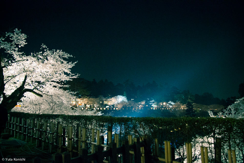 2015年4月金沢観光・石川県観光 イベントまとめ 兼六園での花見がとにかく狙い目だよ！