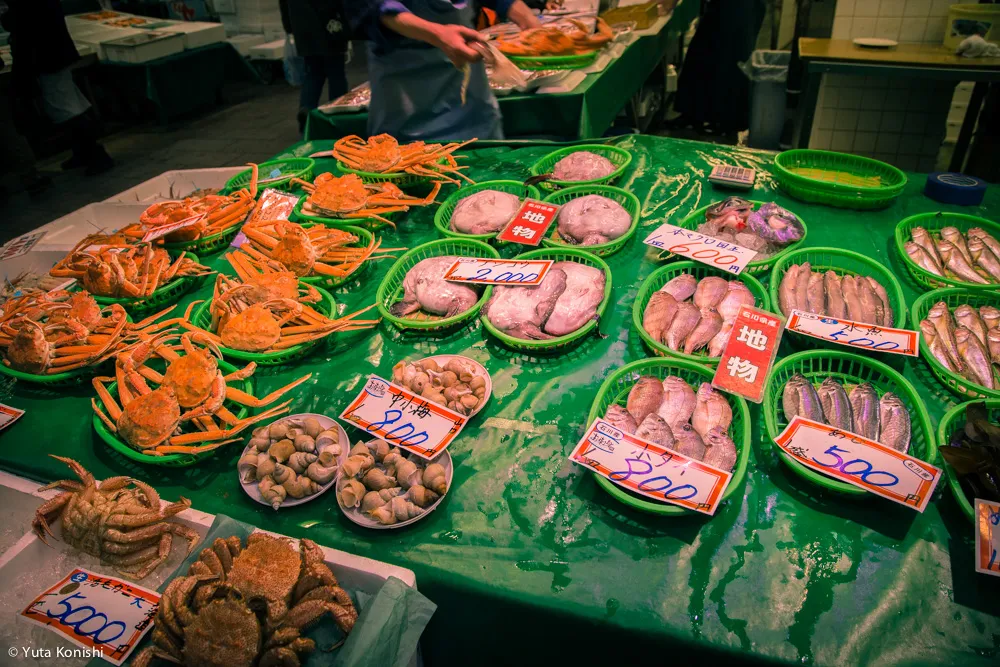 北陸新幹線開業2日目!金沢を本気で散歩!5km歩いて金沢の様子を確かめてみました!北陸新幹線が本当に春を連れてやってきたのか?