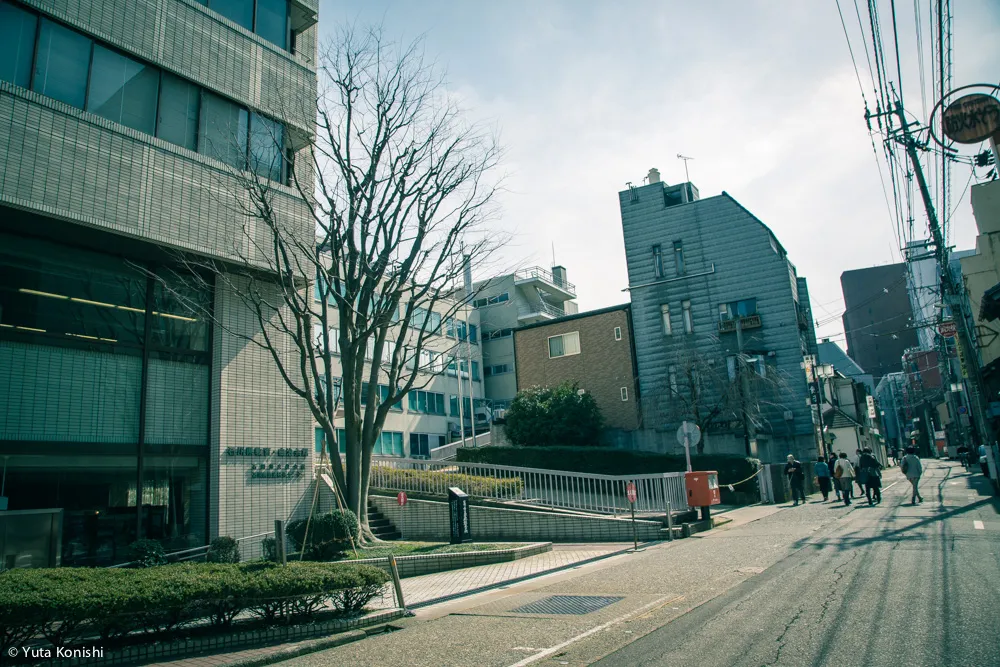 北陸新幹線開業2日目!金沢を本気で散歩!5km歩いて金沢の様子を確かめてみました!北陸新幹線が本当に春を連れてやってきたのか?