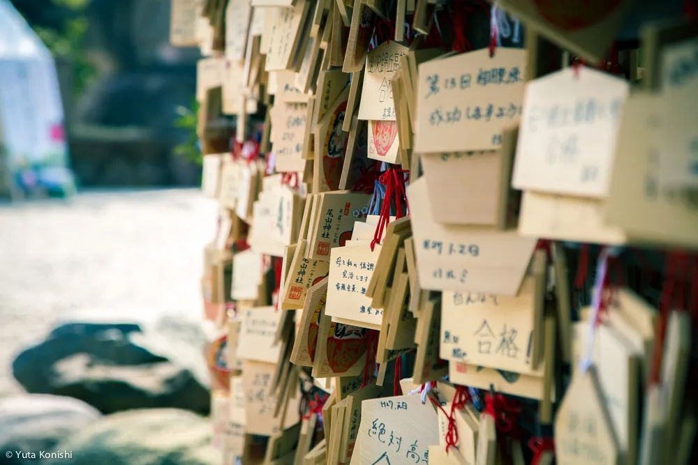 北陸新幹線開業2日目!金沢を本気で散歩!5km歩いて金沢の様子を確かめてみました!北陸新幹線が本当に春を連れてやってきたのか?