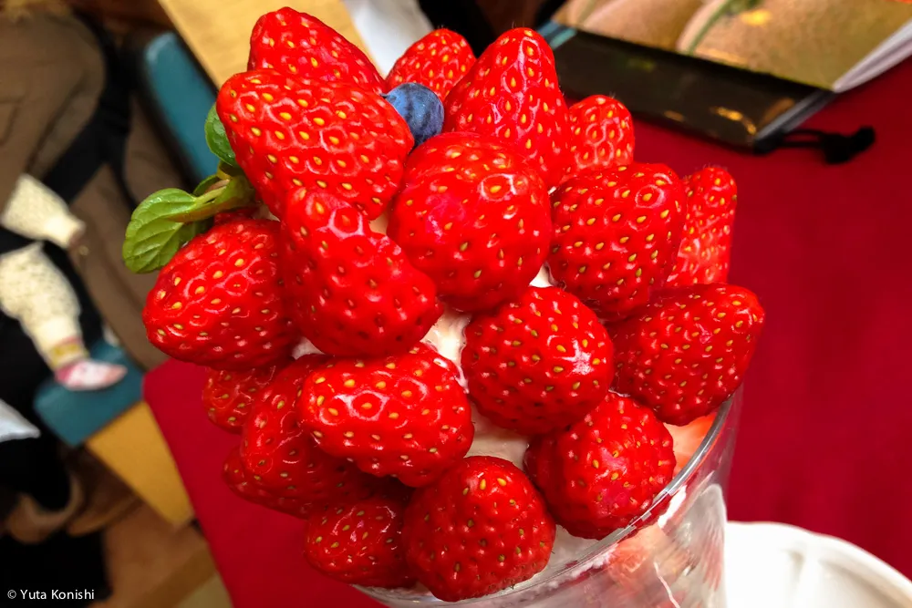 金沢最強パフェ「むらはた」の苺パフェ!異論なし!これを食べたことのない金沢人は一生後悔する!!