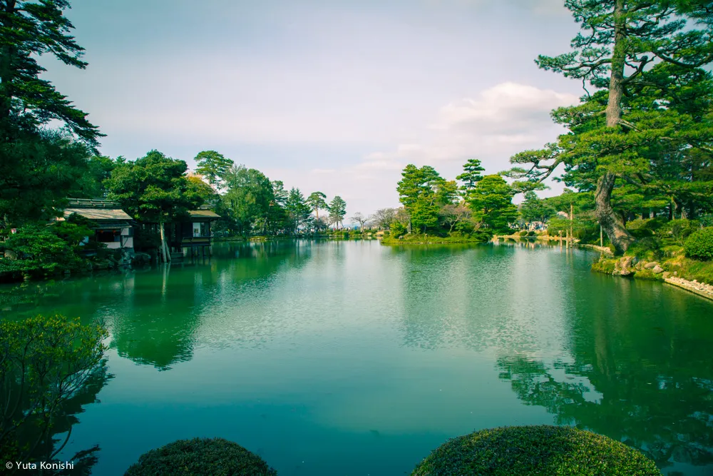 兼六園でのお花見2015年 北陸新幹線開業して初めて迎えるお花見は混んでいた。