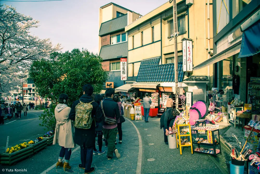 兼六園でのお花見2015年 北陸新幹線開業して初めて迎えるお花見は混んでいた。