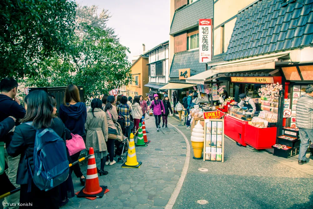兼六園でのお花見2015年 北陸新幹線開業して初めて迎えるお花見は混んでいた。