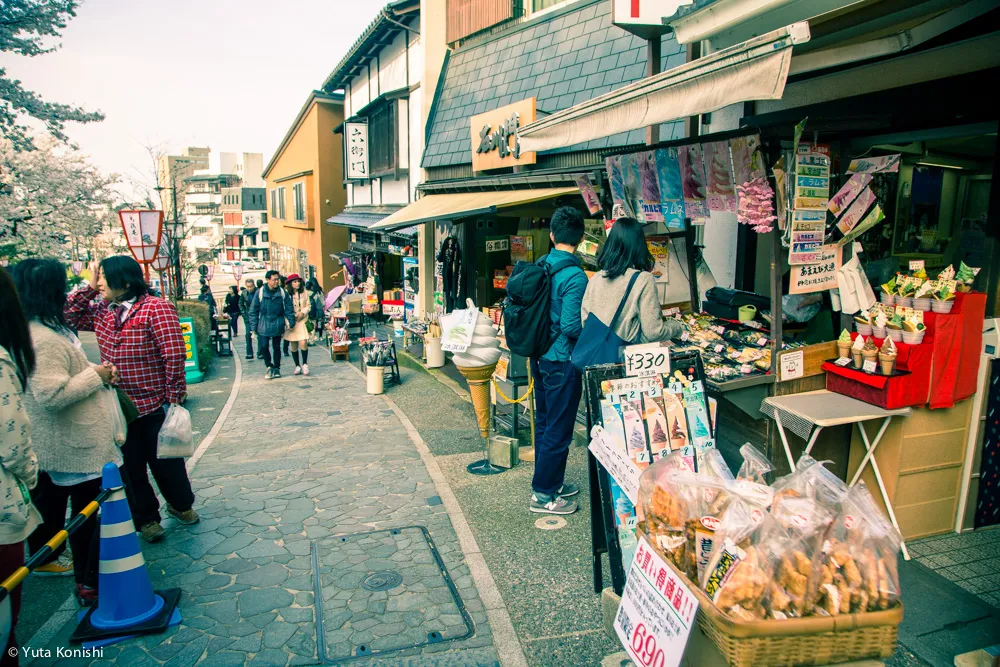 兼六園でのお花見2015年 北陸新幹線開業して初めて迎えるお花見は混んでいた。