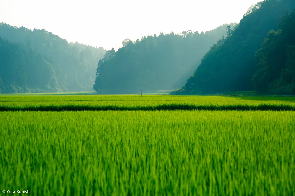 オーストラリア VS 能登!あれ?本当に能登?本当にオーストラリア?能登の自然の魅力はすでにオーストラリアの大自然!を検証してみました。