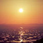 北陸が世界に誇れる絶景の田園風景「富山県 砺波平野の散居村」もうカメラマンの聖地でいいじゃん？！５月〜６月上旬が見頃