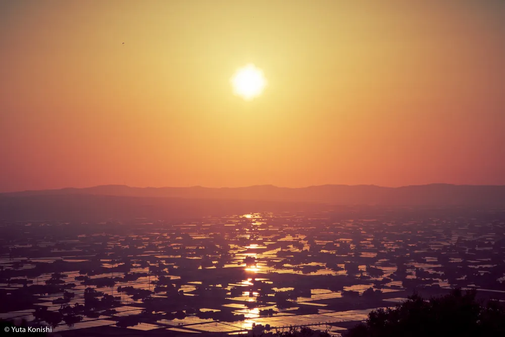 北陸が世界に誇れる絶景の田園風景「富山県 砺波平野の散居村」もうカメラマンの聖地でいいじゃん?!5月〜6月上旬が見頃
