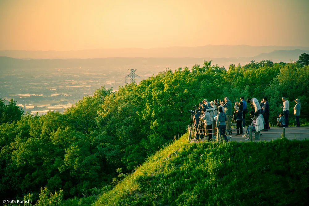 北陸が世界に誇れる絶景の田園風景「砺波平野の散居村」もうカメラマンの聖地でいいじゃん？！５月〜６月上旬が見頃