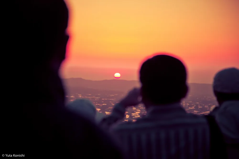 北陸が世界に誇れる絶景の田園風景「砺波平野の散居村」もうカメラマンの聖地でいいじゃん？！５月〜６月上旬が見頃