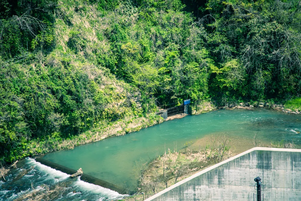 金沢の犀果ての地を目指して行けるところまで行ってみた！そこには進めど進めど人がいて倒木でストップだった2015年