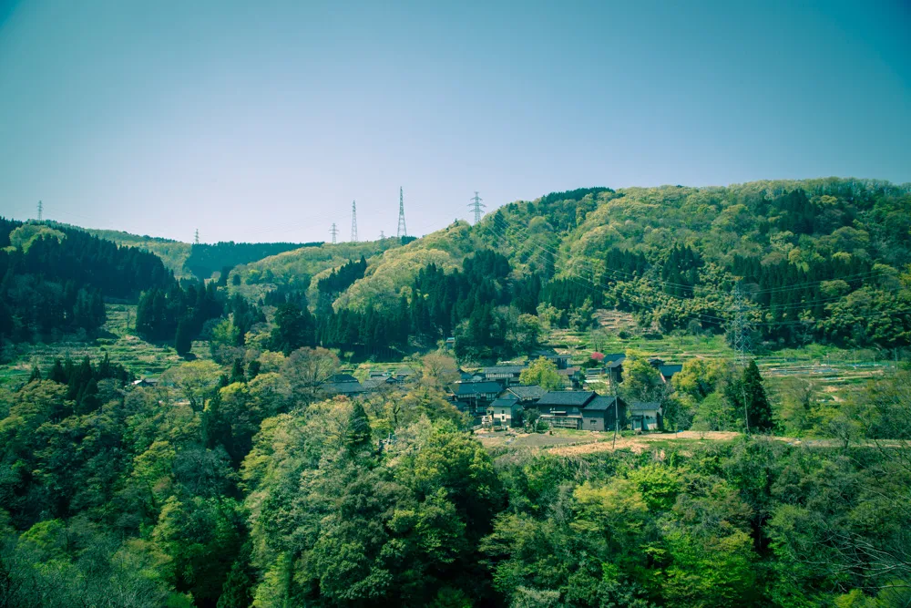 金沢の犀果ての地を目指して行けるところまで行ってみた！そこには進めど進めど人がいて倒木でストップだった2015年